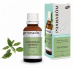 Pranarom Huile Essentielle Ravintsara Bio 10ml